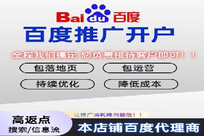 不同预算下的百度推广：案例分析与费用解析